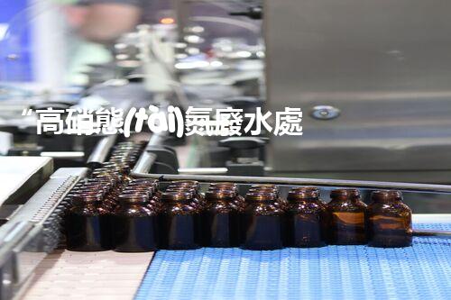 “高硝態(tài)氮廢水處理，綠色環(huán)保新篇章”